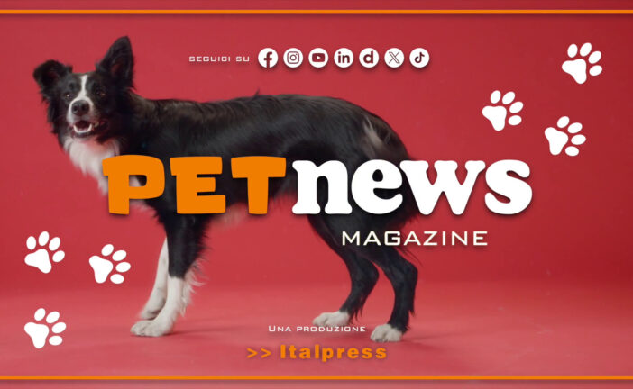 PetNews Magazine – 24/12/2024