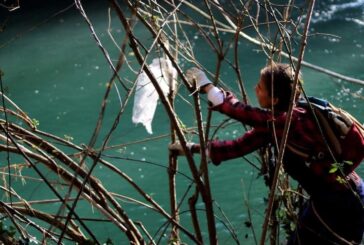 “Salviamo l’Elsa”: grande partecipazione alla pulizia del fiume