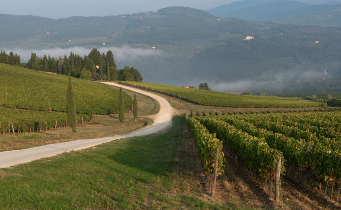 Nuovo disciplinare del Consorzio Vino Toscana: la Giunta Regionale dice Sì