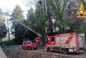 Vento forte: 17 interventi dei Vigili del fuoco di Siena