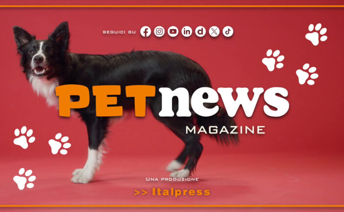 PetNews Magazine – 7/1/2025