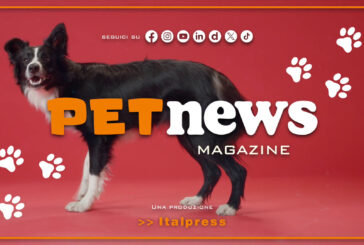 PetNews Magazine – 31/12/2024