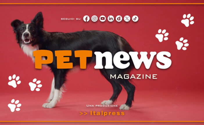 PetNews Magazine – 31/12/2024