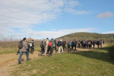 Gli studenti del “Sarrocchi” sul sentiero della memoria di Villa a Sesta