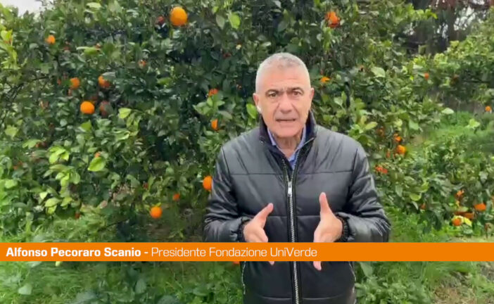 Pecoraro Scanio ”Formare giovani Ecodigital, sfida parte da Sicilia"