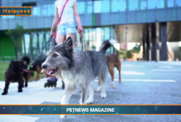 PetNews Magazine – 18/2/2025