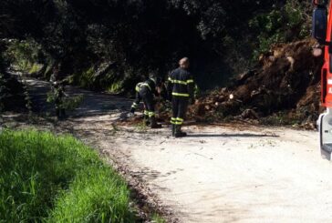 Strada delle Volte Alte chiusa per la caduta di una pianta