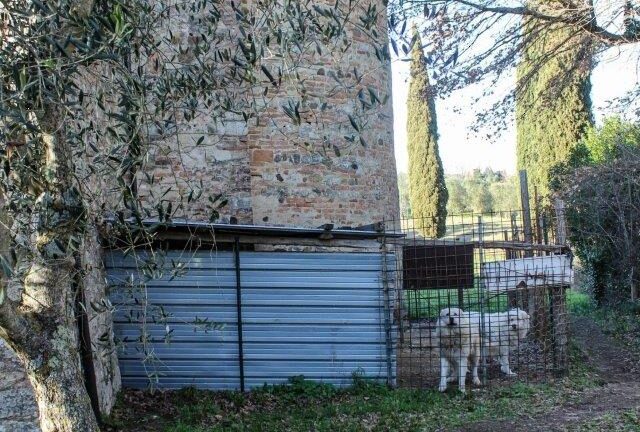 Il (brutto) canile addossato alla Pieve di Pacina