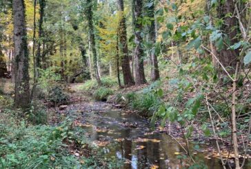 CB6 impegnata nella manutenzione del torrente Vivo