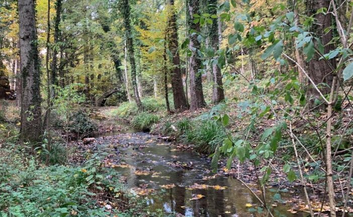 CB6 impegnata nella manutenzione del torrente Vivo