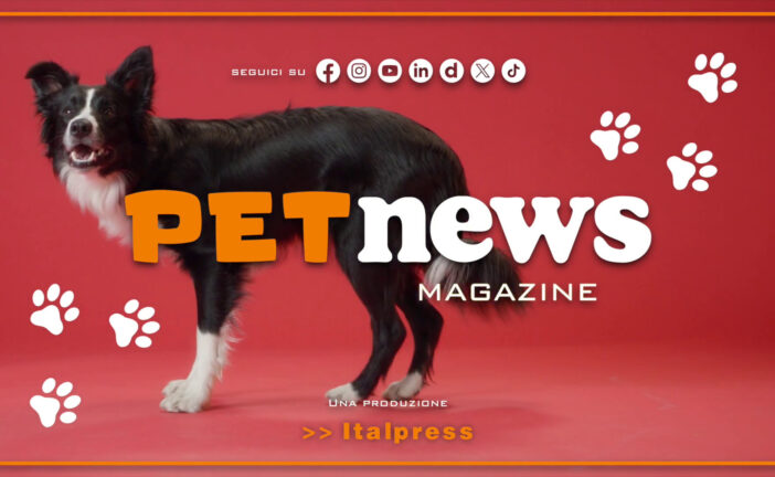 PetNews Magazine – 4/2/2025