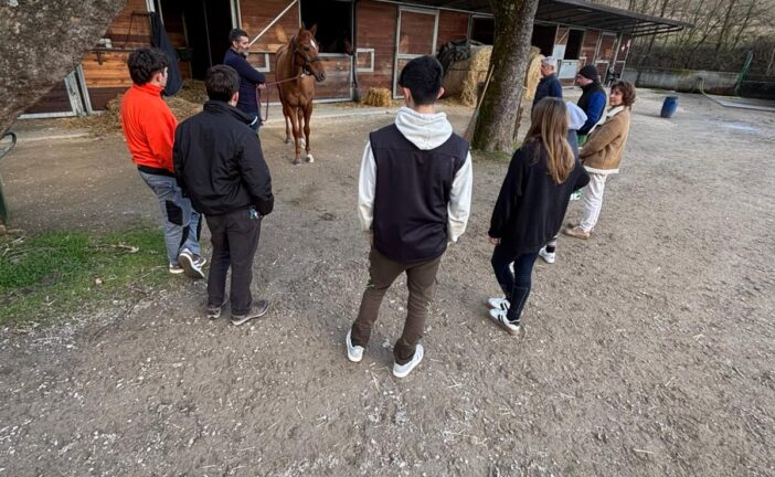 “Il rapporto uomo-cavallo volano per le nuove professioni”