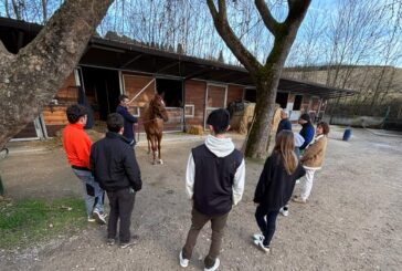 “Il rapporto uomo-cavallo volano per le nuove professioni”