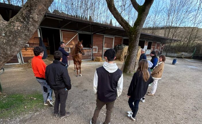 “Il rapporto uomo-cavallo volano per le nuove professioni”