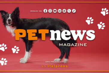 PetNews Magazine – 11/3/2025
