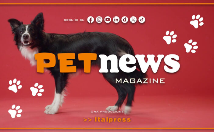 PetNews Magazine – 11/3/2025