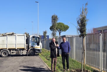 Sei: 15 alberi per compensare la CO₂ emessa durante le ultime due Strade Bianche