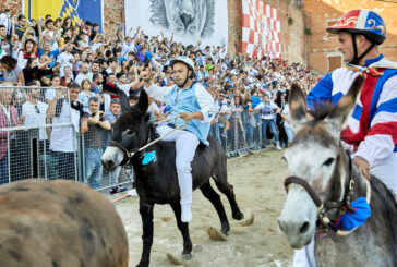 68esimo Palio dei Somari di Torrita di Siena: inizia il conto alla rovescia