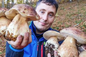 Edizione primaverile per “Torrita Biodiversità – Festa dell’Agri Cultura”