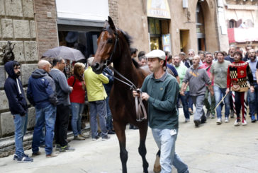 Palio straordinario: le monte definitive