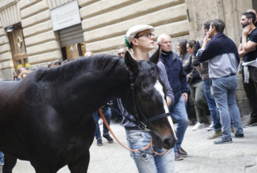 Palio straordinario: l’assegnazione dei cavalli