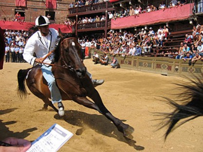 Palio del 16 agosto: 33 i cavalli ammessi alla tratta