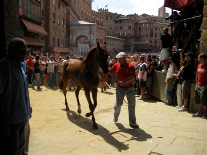 Il Palio in poltrona. Alla Civetta la prima prova