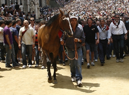 Il Palio in poltrona: e ci s’è fatta a fare la seconda prova