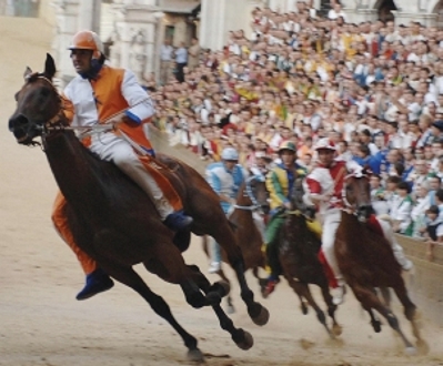 Palio: nominata la Commissione veterinaria