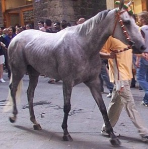 Palio: definiti gli orari delle previsite al Ceppo