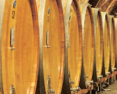 Vino e produzione al centro di un convegno dell’Upa