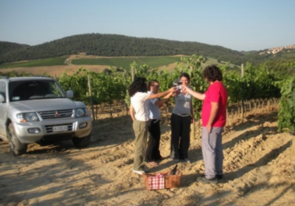 Quando la vendemmia diventa "vacanza"