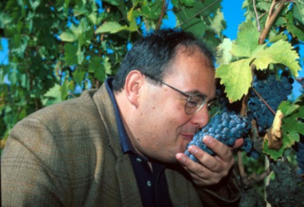 Cinelli Colombini: "Si prospetta una buona vendemmia"