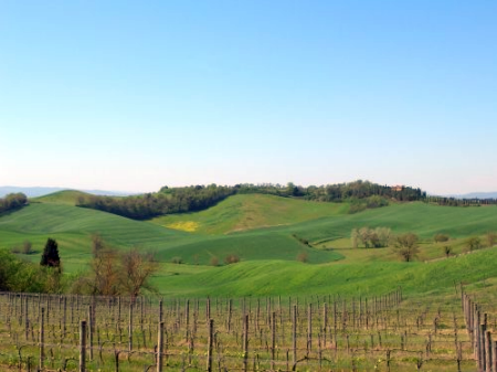 Attraverso il Chianti classico. Con tanto di passaporto