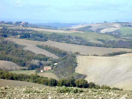 Tuttotartufo: gusto e tipicità a San Giovanni d’Asso