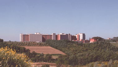 I maggiori esperti sulle malattie della tiroide riuniti per la prima volta a Siena