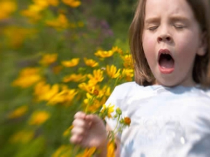 Allergie, una giornata di studio alle Scotte