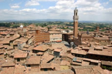 Manutenzione delle aree verdi comunali: Siena pubblica un bando