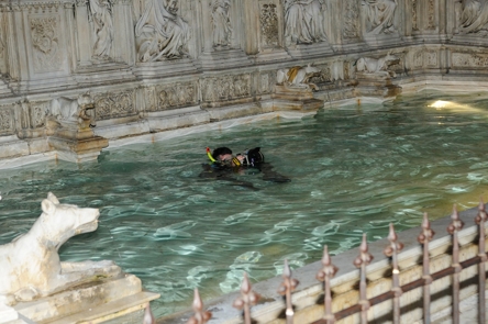 "Da Fonte Gaia al mare" chiude con un premio