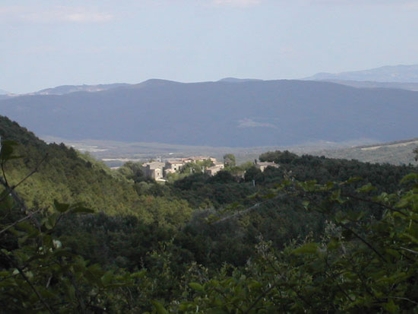 Con i Forestali nella Riserva di Tocchi