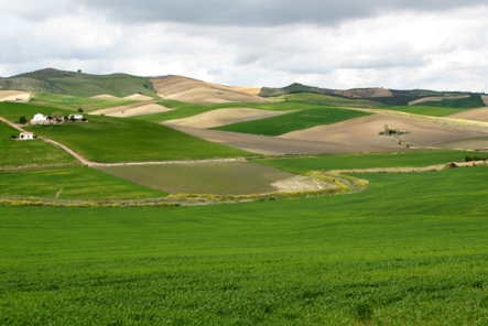 Flai Cgil: un convegno dibattiti per parlare di agricoltura e crisi