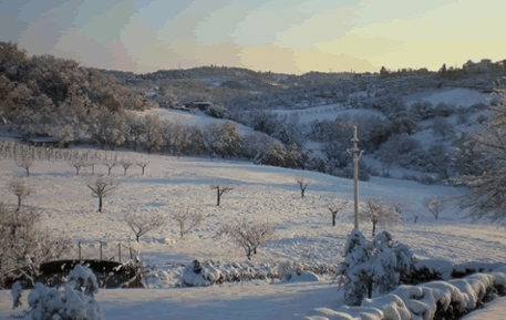 Scuole chiuse e stato di allerta neve in provincia