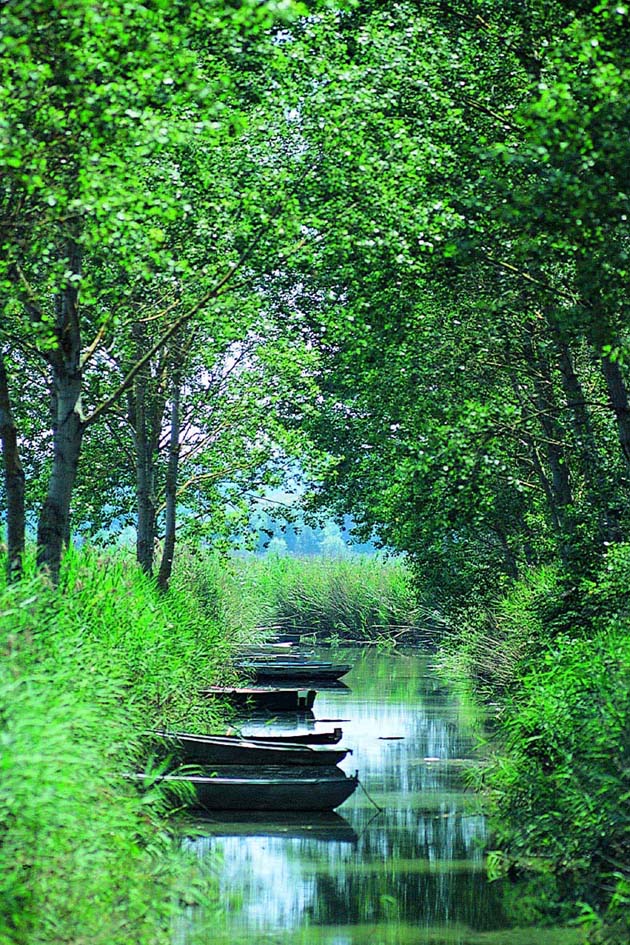 Pasquetta ecologica al lago di Montepulciano