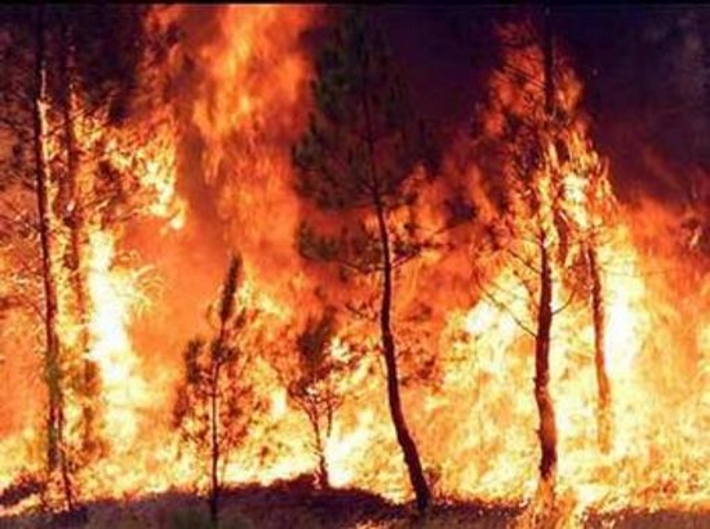 La Provincia proroga il periodo di rischio-incendi