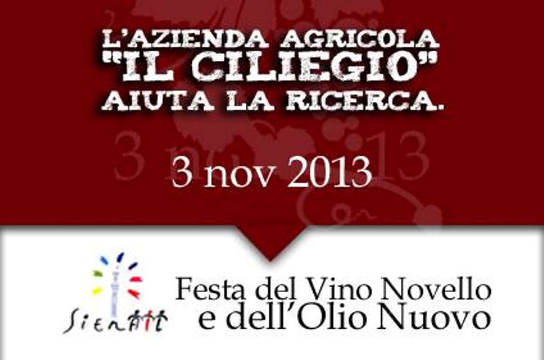 Festa del Vino Novello e dell’Olio Novo a Il Ciliegio