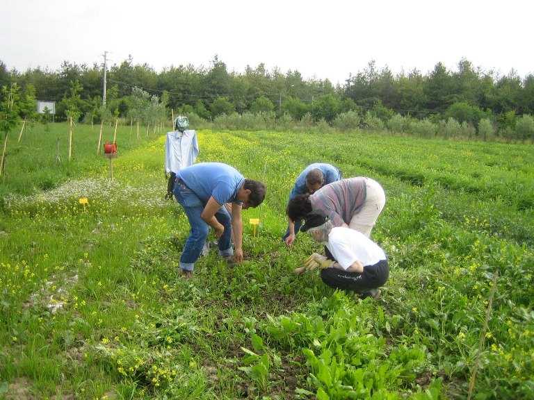 La Flai e la Cgil si interrogano sulle prospettive del lavoro agricolo