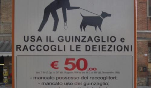 Buonconvento Raccogliere Le Deiezioni Dei Cani Il Cittadino Online