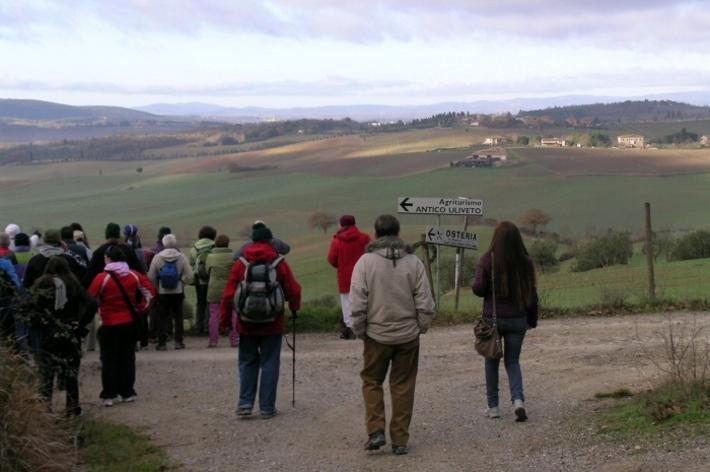 Escursionisti sulla via Romea