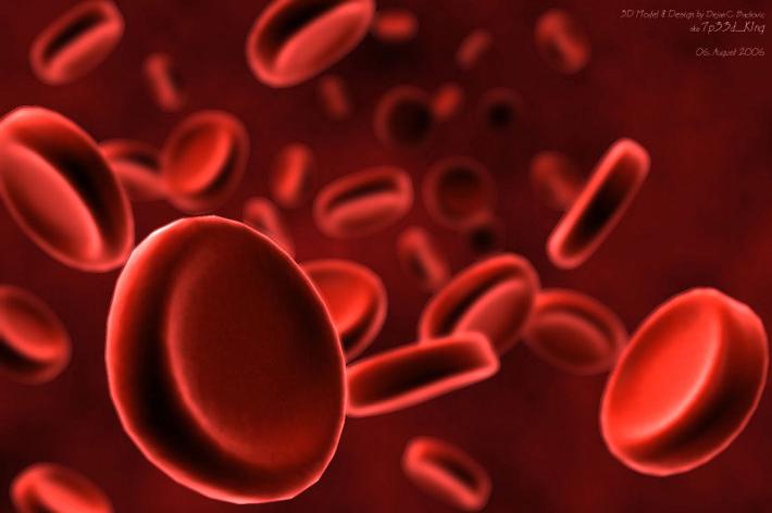 Leucemia; una scoperta di ricercatori senesi su Blood