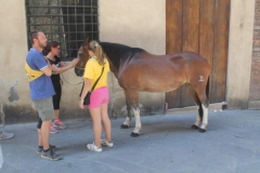 palio 16 agosto 2017 (28)